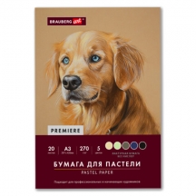 ������ ��� ������� ���������, �3, � �����, 20 ������, 5 ������, 270 �/�2, BRAUBERG ART, 117756, 2��.#S