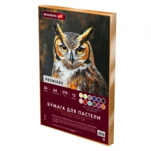 ������ ��� ������� ���������, �4, � �������, 36 ������, 12 ������, 270 �/�2, BRAUBERG ART, 117759, 3��.#S