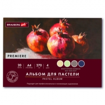 ������ ��� ������� ���������, �4, ������� (�������), 20 ������, 4 �����, 270 �/�2, BRAUBERG ART, 117761, 2��.#S