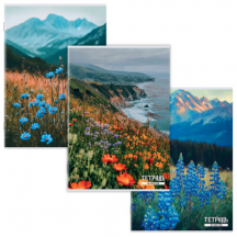 ������� �4 96 �. STAFF "College" �����, ������, ����� �2 ������, ������� ������, ������ �����, 405621, 12��.#S