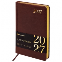���������� ������������ 2027, �5, 138x213 ��, BRAUBERG "Iguana", ��� ����, ����������, 117899, 3��.#S