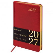 ���������� ������������ 2027, �5, 138x213 ��, BRAUBERG "Iguana", ��� ����, �������, 117900, 3��.#S