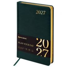 ���������� ������������ 2027, �5, 138x213 ��, BRAUBERG "Iguana", ��� ����, �����-�������, 117902, 3��.#S