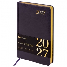 ���������� ������������ 2027, �5, 138x213 ��, BRAUBERG "Iguana", ��� ����, �����-����������, 117903, 3��.#S