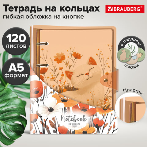 ������� �� ������� �5, 180�220 ��, 120 �., �������� �������, ������, �������, BRAUBERG, ���������, 405220, 3��.#S